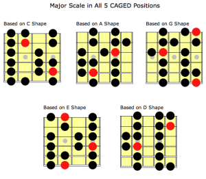 MajorScaleAllPositions