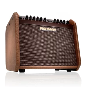 Fishman Loudbox Mini Charge