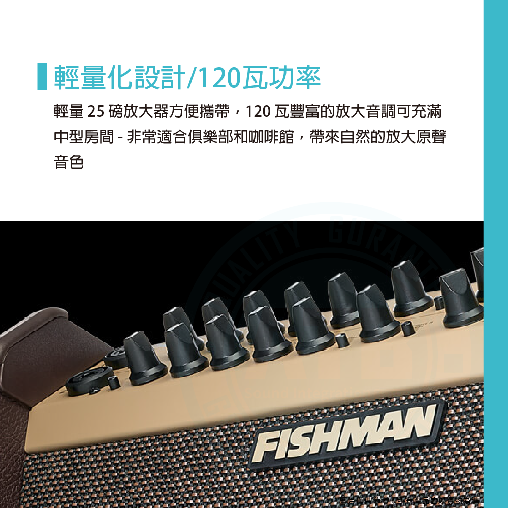 Fishman Loudbox Artist