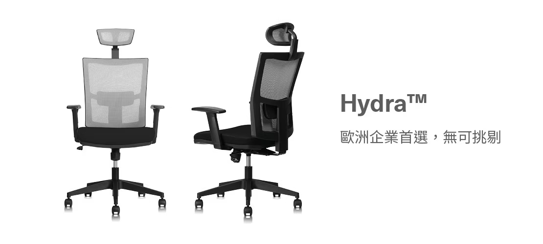 Backbone Hydra™ 工學椅 ◌ 商務熱銷款1