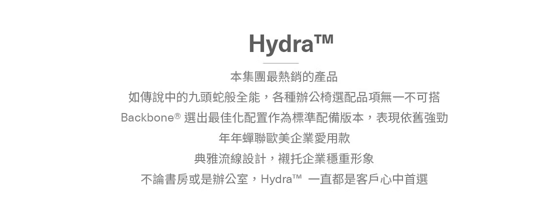 Backbone Hydra™ 工學椅 ◌ 商務熱銷款1