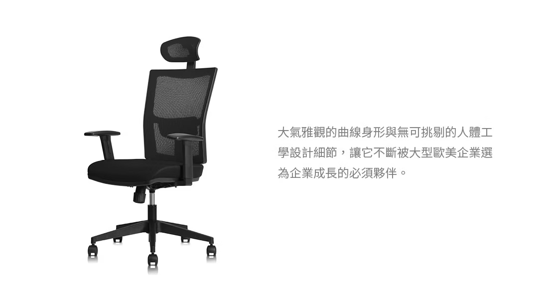 Backbone Hydra™ 工學椅 ◌ 商務熱銷款1